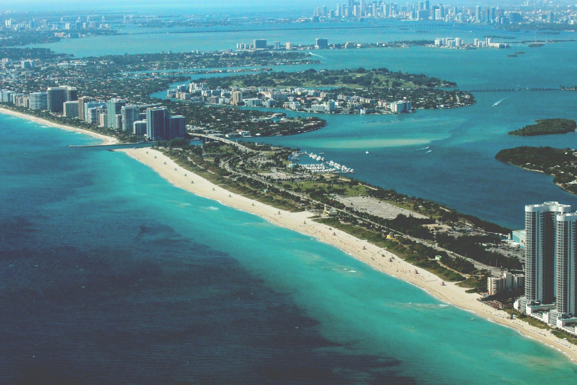 Pet-Friendly Things to Do in Miami (Cruise Included)